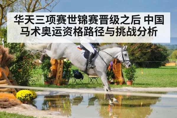 equestrian eventing cross country horse