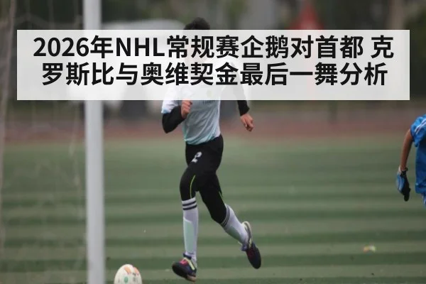 2026年NHL常规赛企鹅对首都 克罗斯比与奥维契金最后一舞分析